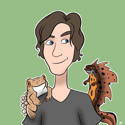 Profile Picture of Steven Allain (@stevoallain) on Twitter