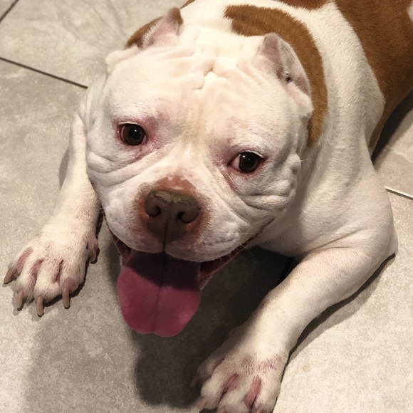 Profile Picture of Mike Spears (@820slick) on Poshmark