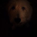 Profile Picture of Maxrudd (@maxrudd) on Instagram