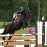 Profile Picture of Bailey Sheran (@bsheran) on Pinterest