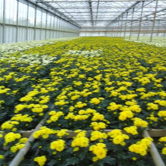 Hassania Taoufik - Poshmark Profile Picture of Hassania Taoufik (@hassaniataoufik) on Poshmark