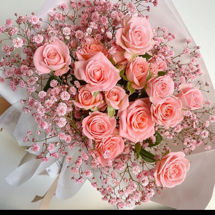 Profile Picture of lorena_canepa (@lorena_canepa) on Tiktok