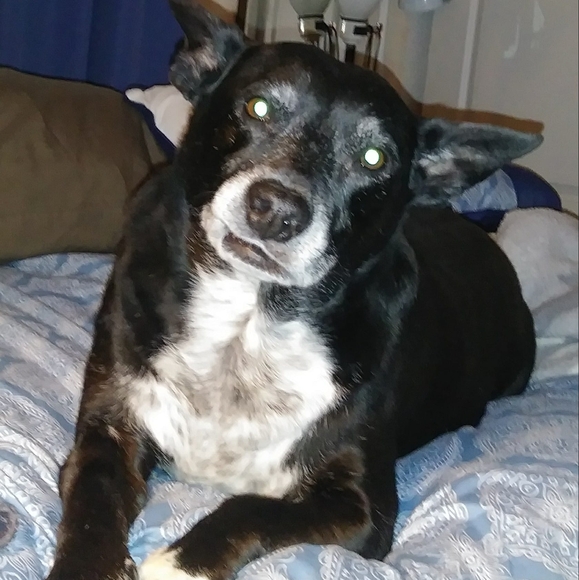 Profile Picture of Sharon Plager (@shar2med) on Poshmark