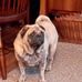 Profile Picture of Joyce McCabe (@joyce.mccabe.7106) on Facebook