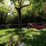 Profile Picture of Zachary Weber (@furbyslayer123) on Instagram