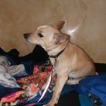 Profile Picture of danielkimakovskiy (@danielkimakovskiy6) on Instagram