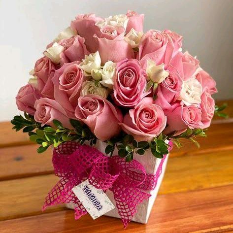 Profile Picture of renéparga10 (@renataparga2) on Tiktok