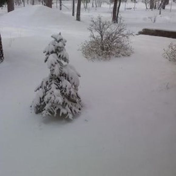 Profile Picture of Janni Brazan (@jannibrazan) on Poshmark