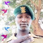 Profile Picture of M James Mosinko (@M-James-Mosinko) on Facebook