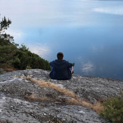 Profile Picture of Lucas Hammer Johnsen (@Hammlucas__03) on Twitter