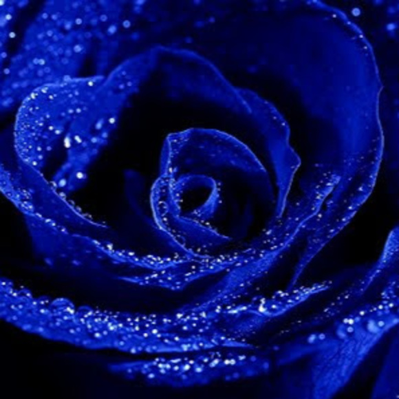 Profile Picture of Htee Kusay (@hteekusay16) on Poshmark