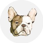 Profile Picture of Allison Hasselteg (@intimacreations) on Instagram