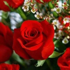 Profile Picture of Abdi Bashiir (@abdibashiir6) on Tiktok