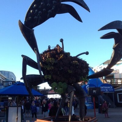 Profile Picture of Wenqi Wang (@wang_wenqi) on Twitter