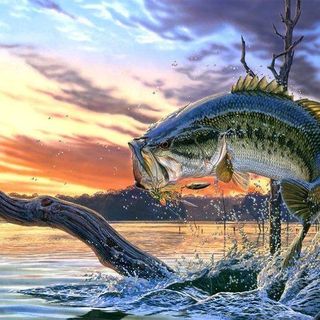 Profile Picture of Jeffery Kinard (@Jeffery-Kinard) on Facebook