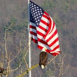 Profile Picture of Barbara Rathboneon Twitter