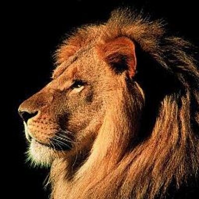 Profile Picture of Adam Mohsen (@Thomson1369) on Twitter