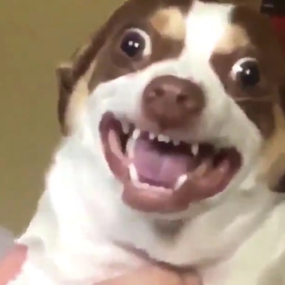 Profile Picture of Clara Moore (@nintendad) on Poshmark