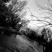 Profile Picture of Léo Orssaud (@leoctogone4374) on Youtube