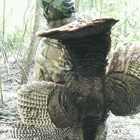 Profile Picture of Kendall Alexander (@kendall-alexander-7) on Quora