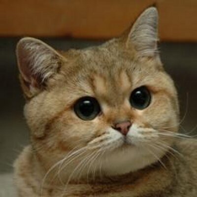 Profile Picture of Eric (@EricRowe123) on Twitter