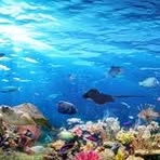 Profile Picture of Rosie Dobbs (@Rosie-Dobbs) on Facebook