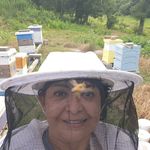 Profile Picture of Rose Gillett (@rosebudnurse) on Instagram