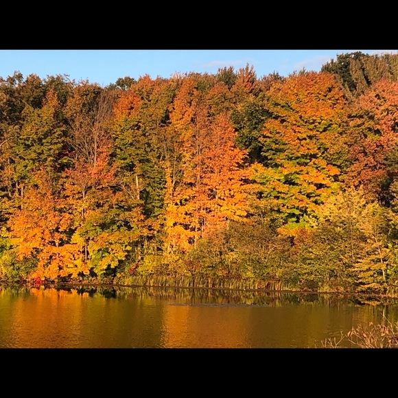 John Avanzato - Poshmark Profile Picture of John Avanzato (@johnavanzato) on Poshmark