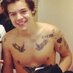 Profile Picture of Harry Styles (@HarryHassStyles) on Twitter
