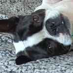 Profile Picture of Bradley Cannon (@Bradley-Cannon) on Facebook