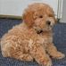 Profile Picture of Sandy Chow (@sandy.chow.330) on Facebook