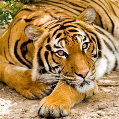 Profile Picture of James Tapley (@JamesDTapley) on Twitter