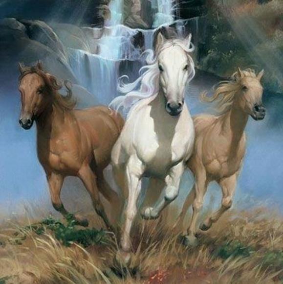 Profile Picture of Amanda Sparwasser (@bluegirl88130) on Poshmark