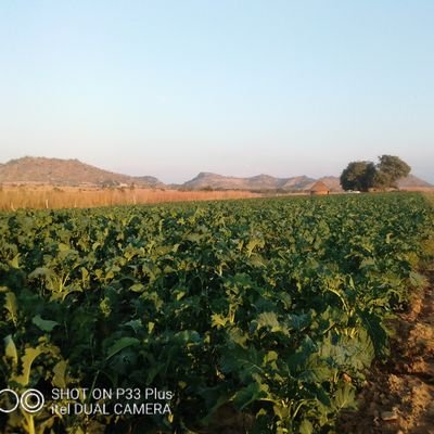 Profile Picture of Dr Dee Mars (@marsdee2014) on Twitter