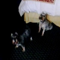 Profile Picture of Robin Smithson (@robin-smithson) on Quora