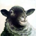 Profile Picture of Peter Harman (@peter.harman1) on Instagram