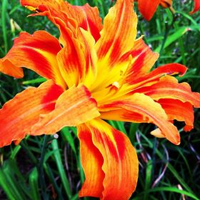 Michal-Jean Storms - Pinterest Profile Picture of Michal-Jean Storms (@michaljean) on Pinterest