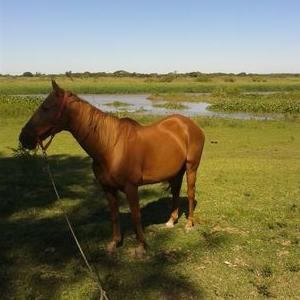 Daniel Fazzio - Twitter Profile Picture of Daniel Fazzio (@DanielFazzio) on Twitter