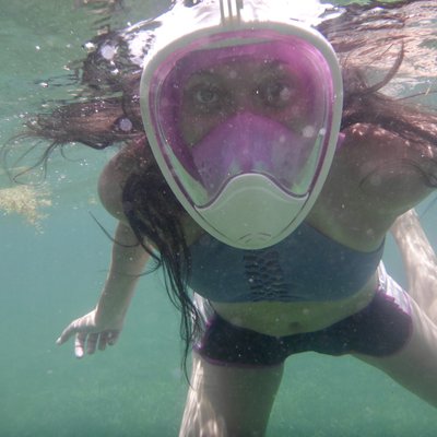 Profile Picture of Amelia Warnock (@WarnockAmelia) on Twitter