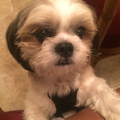 Profile Picture of Wilburn Casey (@WilburnCasey1) on Twitter