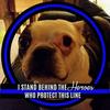 Profile Picture of jeffbusse588 (@@jeffbusse588) on Tiktok