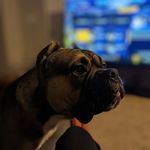 Profile Picture of larry pearson (@newlookatlife) on Instagram