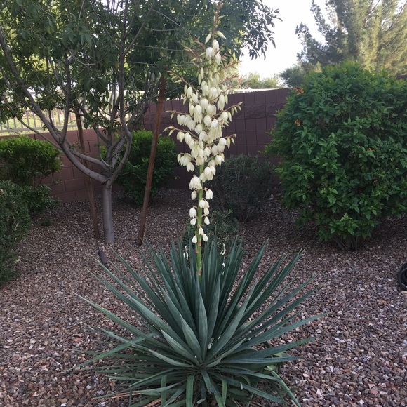 Kristi111 Sannes - Poshmark Profile Picture of Kristi111 Sannes (@kristi111s) on Poshmark