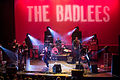 Profile Picture of The Badleeson Wikipedia