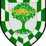 Greg Mooney - Instagram Profile Picture of Greg Mooney (@greg_mooney) on Instagram