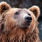 Profile Picture of Kenneth Paterson (@huggyhuggybears) on Instagram