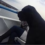 Profile Picture of Antonia Gisonda (@antoniagisonda) on Instagram