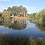 Profile Picture of Nicolas Tod-Jackson (@nictodjackson) on Instagram