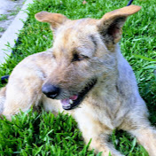 Profile Picture of Sam Huang (@ga003007) on Youtube