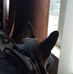 Profile Picture of Chris Swarthout (@chris.swarthout.125) on Facebook